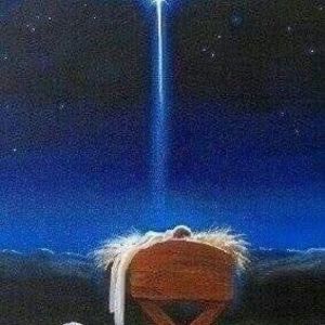 Meet your Posher, Lucinda